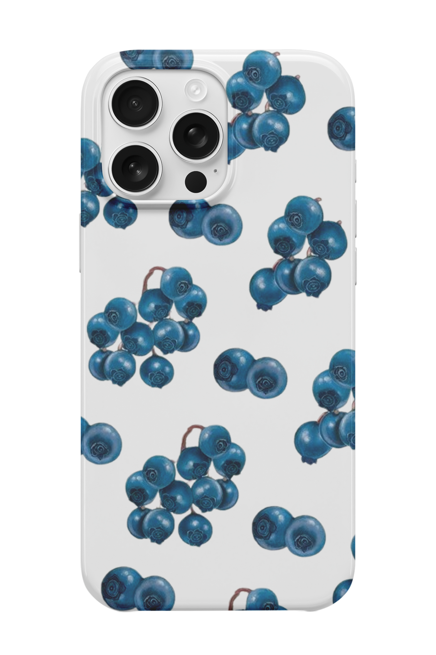 Blueberry Kılıfı